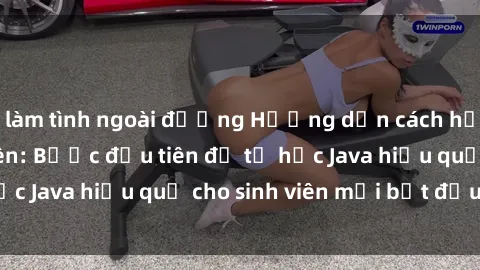 làm tình ngoài đường Hướng dẫn cách học Java cho sinh viên: Bước đầu tiên để tự học Java hiệu quả cho sinh viên mới bắt đầu là gì?